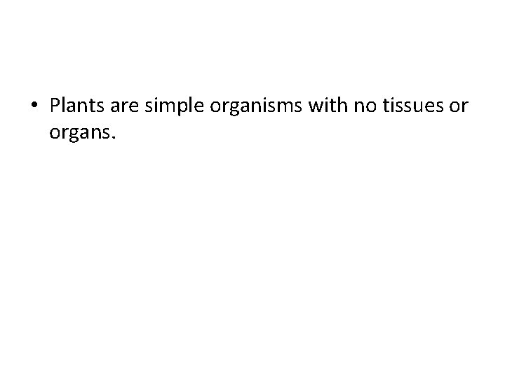  • Plants are simple organisms with no tissues or organs. 