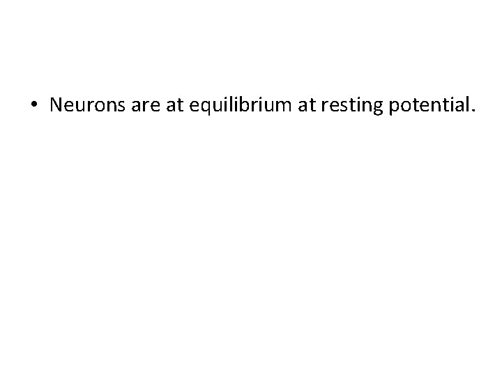  • Neurons are at equilibrium at resting potential. 