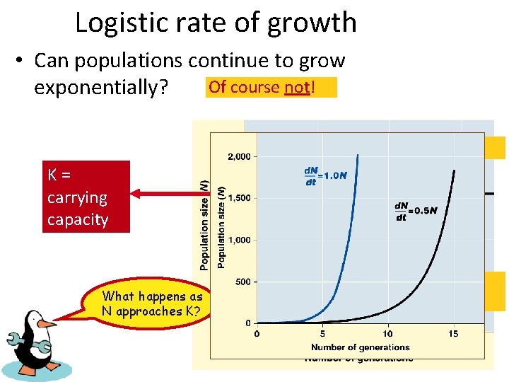 Logistic rate of growth • Can populations continue to grow Of course not! exponentially?