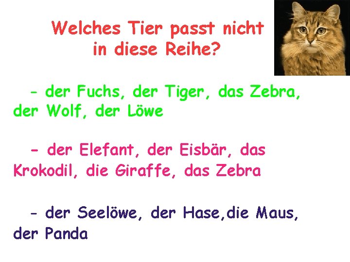 Welches Tier passt nicht in diese Reihe? - der Fuchs, der Tiger, das Zebra,