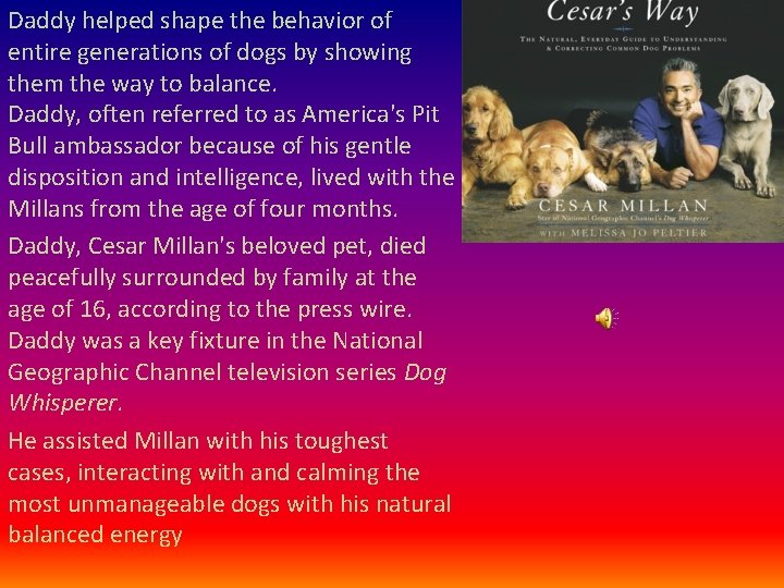 Daddy helped shape the behavior of entire generations of dogs by showing them the