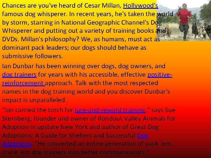 Chances are you've heard of Cesar Millan, Hollywood's famous dog whisperer. In recent years,