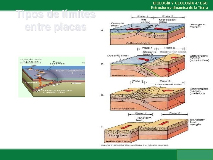 Tipos de límites entre placas BIOLOGÍA Y GEOLOGÍA 4. º ESO Estructura y dinámica