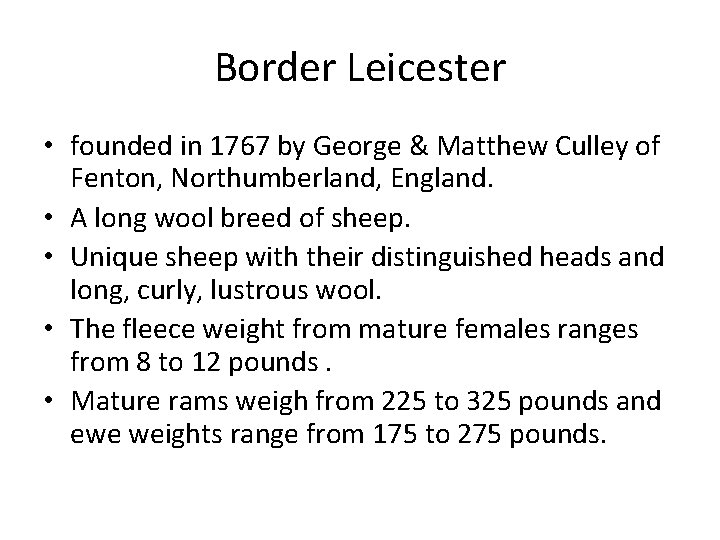 Border Leicester • founded in 1767 by George & Matthew Culley of Fenton, Northumberland,