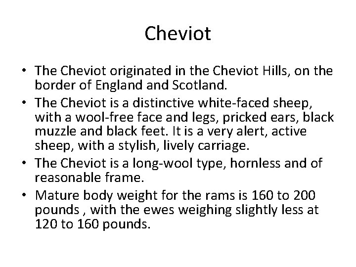 Cheviot • The Cheviot originated in the Cheviot Hills, on the border of England