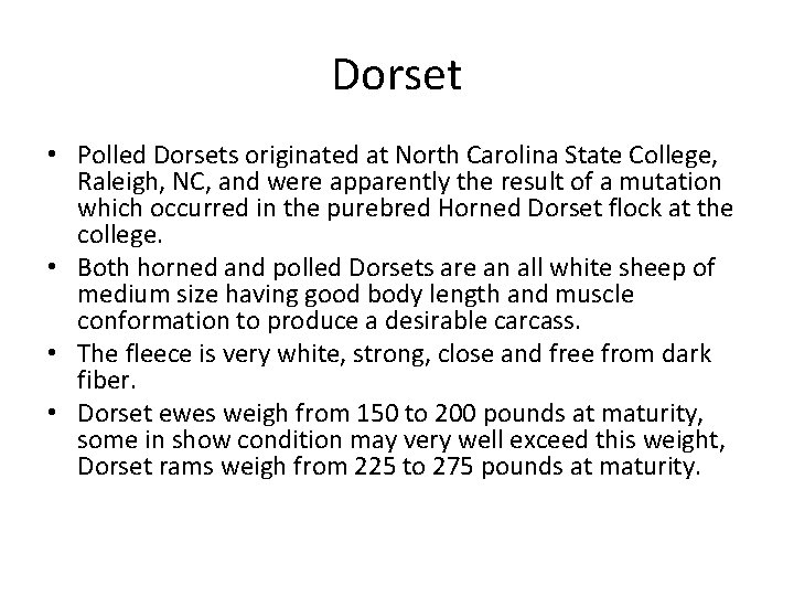 Dorset • Polled Dorsets originated at North Carolina State College, Raleigh, NC, and were