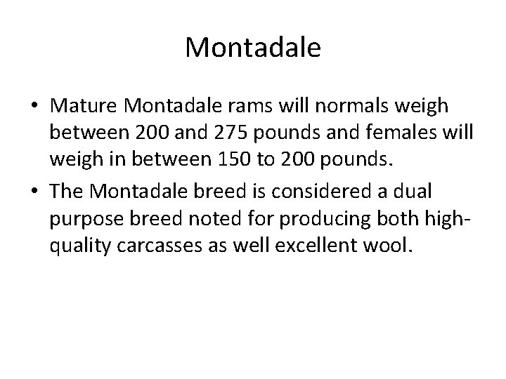 Montadale • Mature Montadale rams will normals weigh between 200 and 275 pounds and