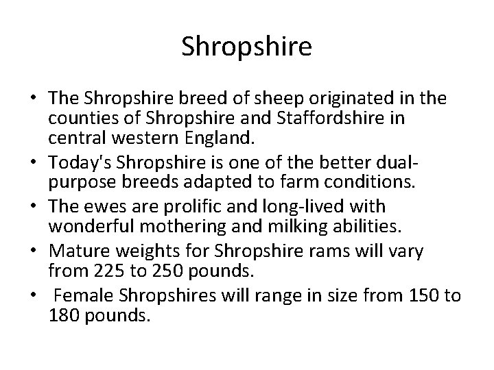Shropshire • The Shropshire breed of sheep originated in the counties of Shropshire and