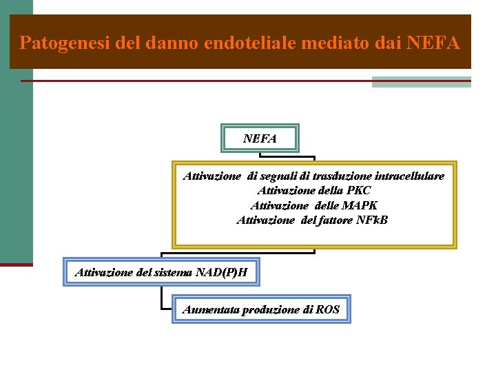 Patogenesi del danno endoteliale mediato dai NEFA Attivazione di segnali di trasduzione intracellulare Attivazione