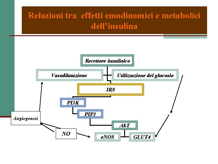 Relazioni tra effetti emodinamici e metabolici dell’insulina Recettore insulinico Vasodilatazione Utilizzazione del glucosio IRS