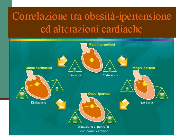 Correlazione tra obesità-ipertensione ed alterazioni cardiache 