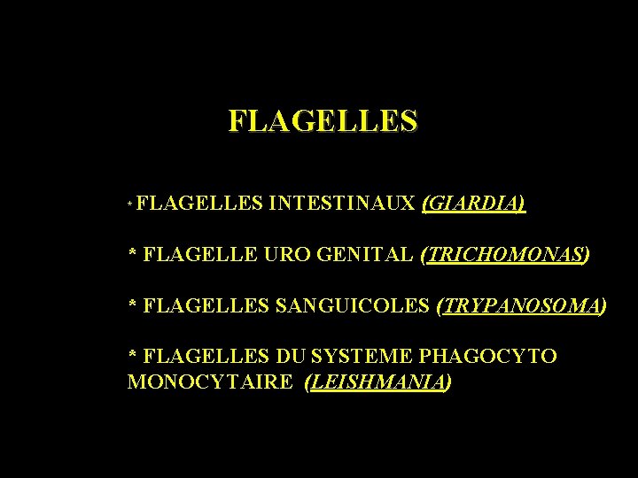 FLAGELLES * FLAGELLES INTESTINAUX (GIARDIA) * FLAGELLE URO GENITAL (TRICHOMONAS) * FLAGELLES SANGUICOLES (TRYPANOSOMA)