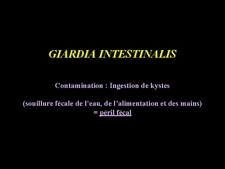 GIARDIA INTESTINALIS Contamination : Ingestion de kystes (souillure fécale de l’eau, de l’alimentation et