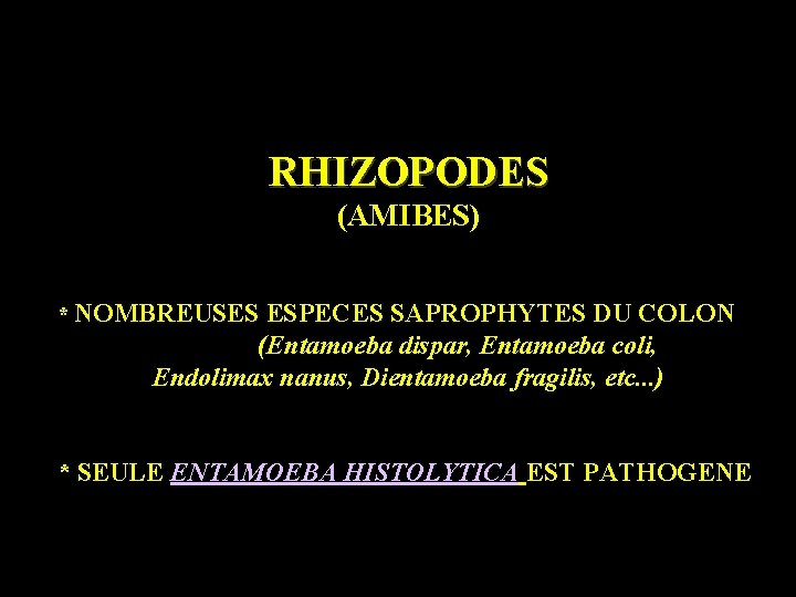 RHIZOPODES (AMIBES) * NOMBREUSES ESPECES SAPROPHYTES DU COLON (Entamoeba dispar, Entamoeba coli, Endolimax nanus,