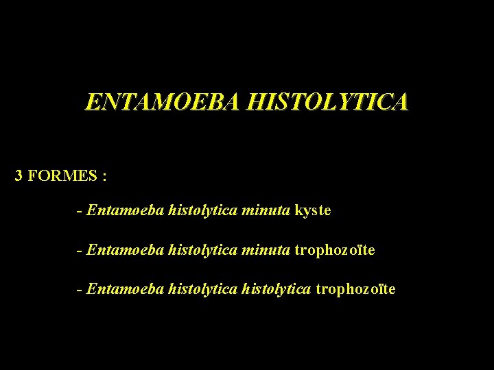 ENTAMOEBA HISTOLYTICA 3 FORMES : - Entamoeba histolytica minuta kyste - Entamoeba histolytica minuta
