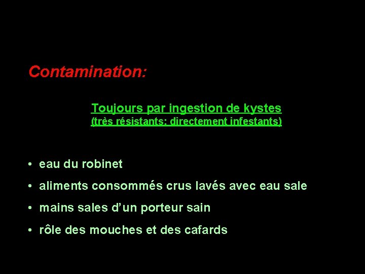 Contamination: Toujours par ingestion de kystes (très résistants; directement infestants) • eau du robinet