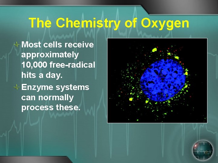 The Chemistry of Oxygen Most cells receive approximately 10, 000 free-radical hits a day.