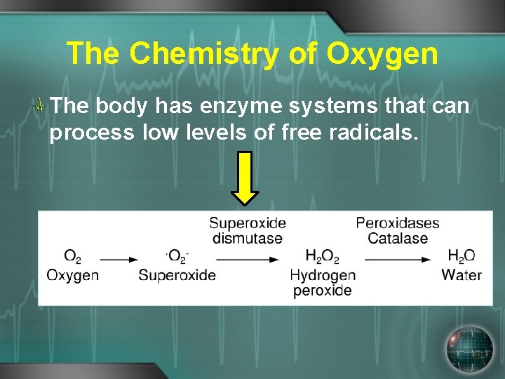 The Chemistry of Oxygen The body has enzyme systems that can process low levels