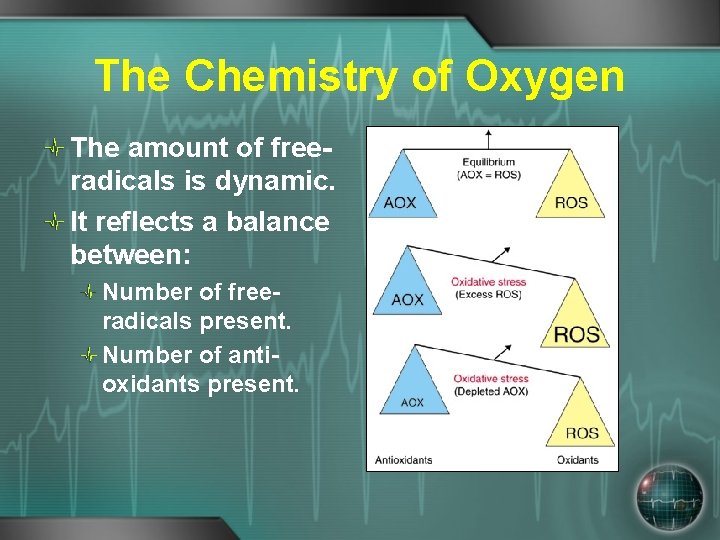 The Chemistry of Oxygen The amount of freeradicals is dynamic. It reflects a balance