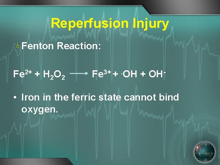Reperfusion Injury Fenton Reaction: Fe 2+ + H 2 O 2 Fe 3+ +.