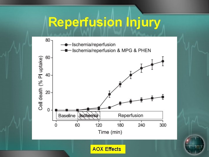 Reperfusion Injury AOX Effects 