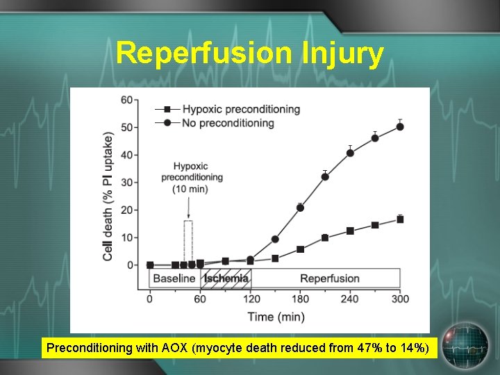 Reperfusion Injury Preconditioning with AOX (myocyte death reduced from 47% to 14%) 