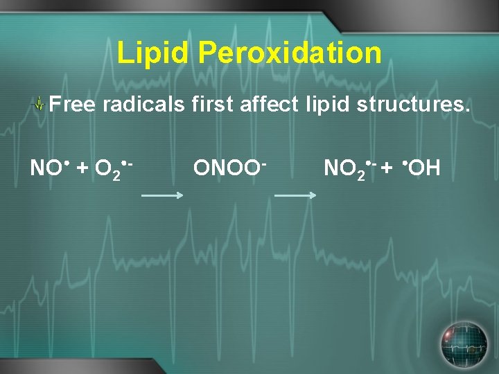 Lipid Peroxidation Free radicals first affect lipid structures. NO + O 2 - ONOO-