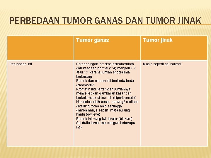 PERBEDAAN TUMOR GANAS DAN TUMOR JINAK Perubahan inti Tumor ganas Tumor jinak Perbandingan inti: