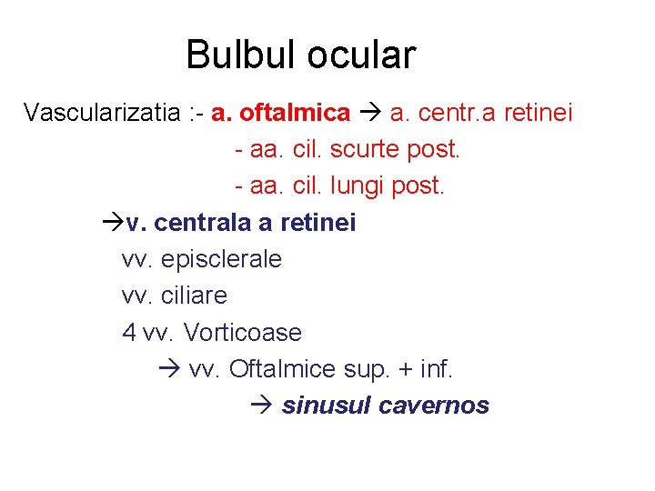 Bulbul ocular Vascularizatia : - a. oftalmica a. centr. a retinei - aa. cil.