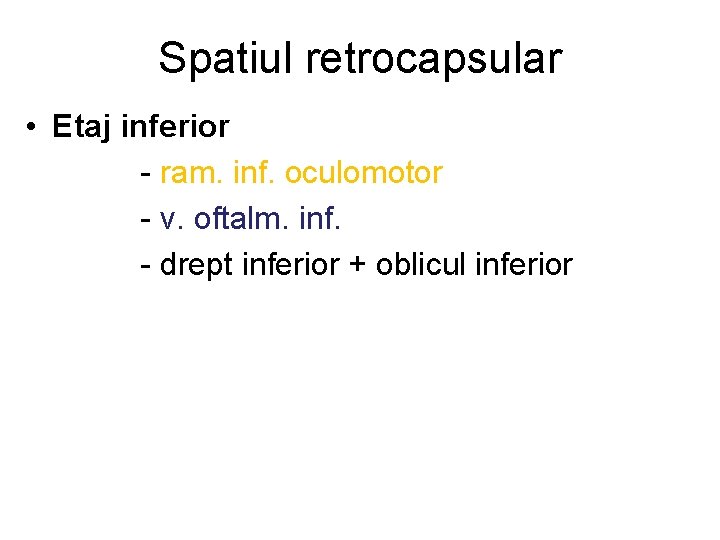 Spatiul retrocapsular • Etaj inferior - ram. inf. oculomotor - v. oftalm. inf. -