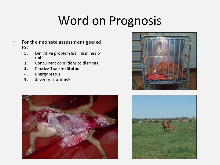 Word on Prognosis • For the neonate assessment geared to: 1. 2. 3. 4.