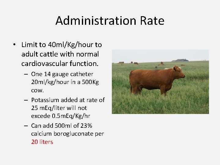 Administration Rate • Limit to 40 ml/Kg/hour to adult cattle with normal cardiovascular function.