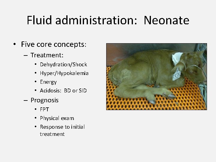 Fluid administration: Neonate • Five core concepts: – Treatment: • • Dehydration/Shock Hyper/Hypokalemia Energy
