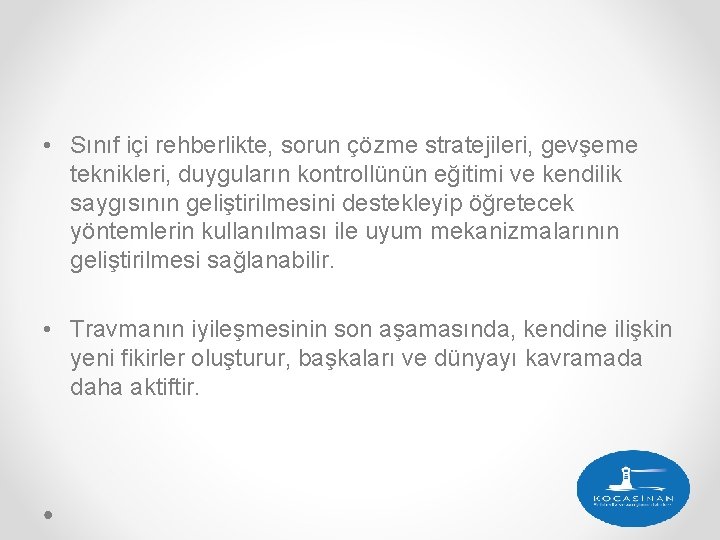  • Sınıf içi rehberlikte, sorun çözme stratejileri, gevşeme teknikleri, duyguların kontrollünün eğitimi ve