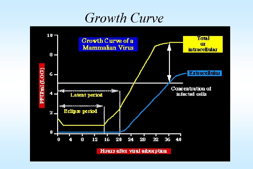 Growth Curve 