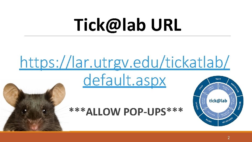 Tick@lab URL https: //lar. utrgv. edu/tickatlab/ default. aspx ***ALLOW POP-UPS*** 2 