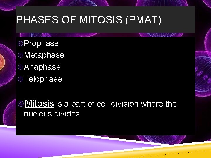 PHASES OF MITOSIS (PMAT) Prophase Metaphase Anaphase Telophase Mitosis is a part of cell