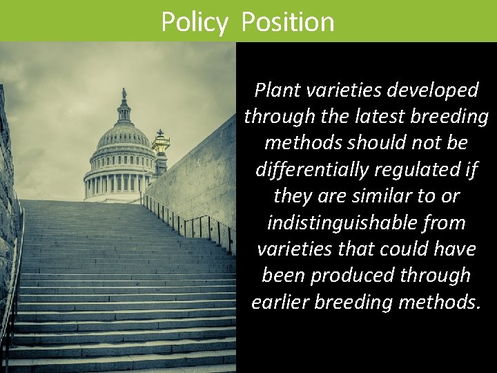 Policy Position Plant varieties developed through the latest breeding methods should not be differentially