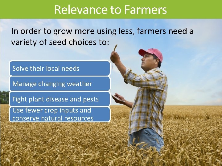 Relevance to Farmers In order to grow more using less, farmers need a variety