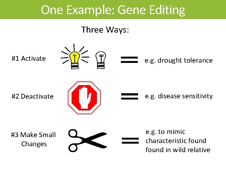 One Example: Gene Editing Three Ways: #1 Activate e. g. drought tolerance #2 Deactivate