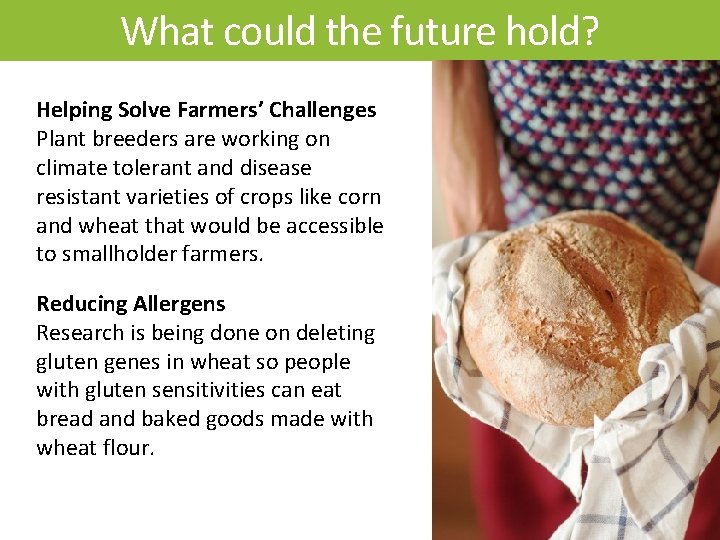 What could the future hold? Tomato Helping Solve Farmers’ Challenges -Disease Plant breeders are