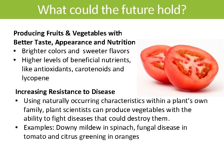 What could the future hold? Tomato Producing Fruits & Vegetables with -Disease Better Taste,