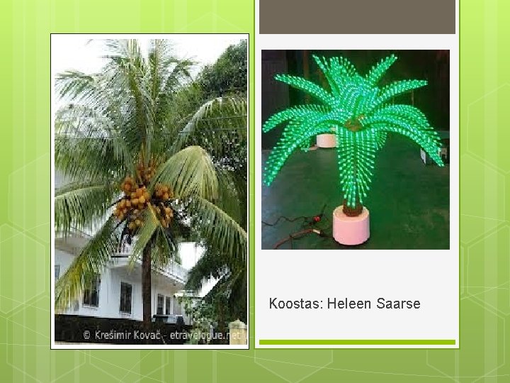 Koostas: Heleen Saarse 
