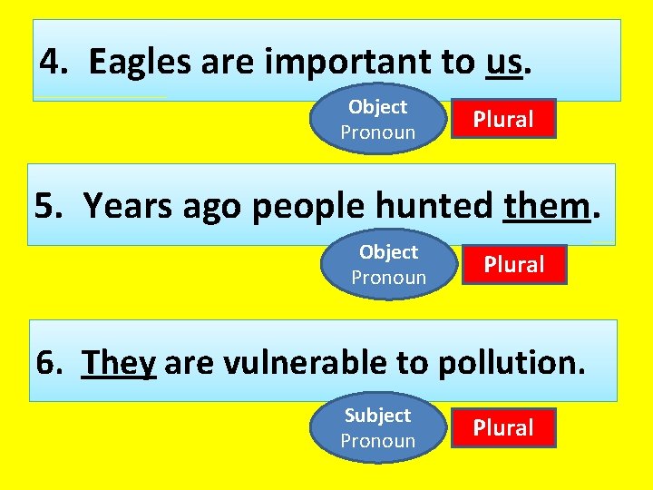 4. Eagles are important to us. Object Pronoun Plural 5. Years ago people hunted