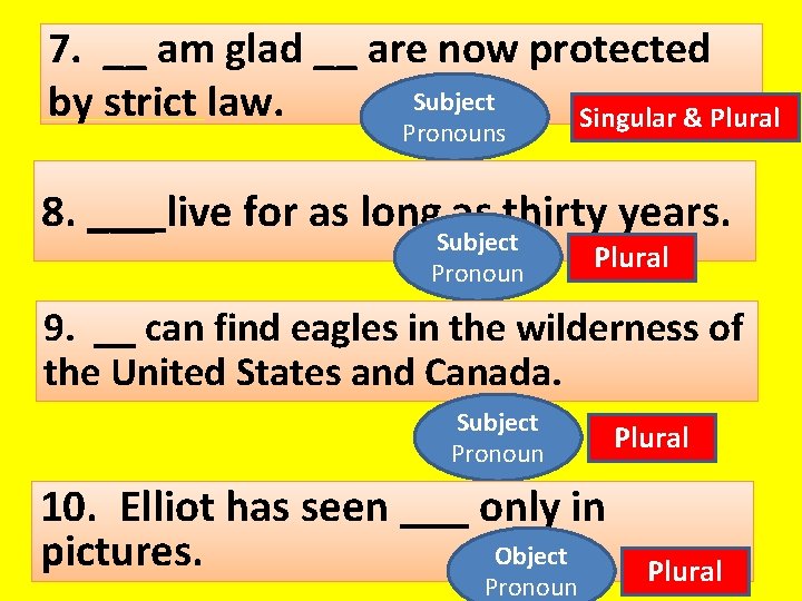 7. __ am glad __ are now protected Subject by strict law. Singular &