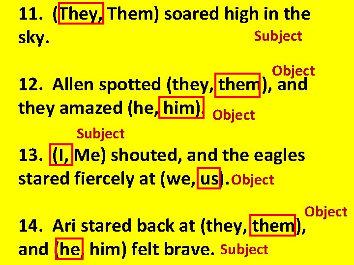 11. (They, Them) soared high in the Subject sky. Object 12. Allen spotted (they,