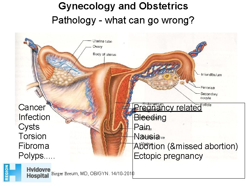 Gynecology and Obstetrics Pathology - what can go wrong? Cancer Infection Cysts Torsion Fibroma