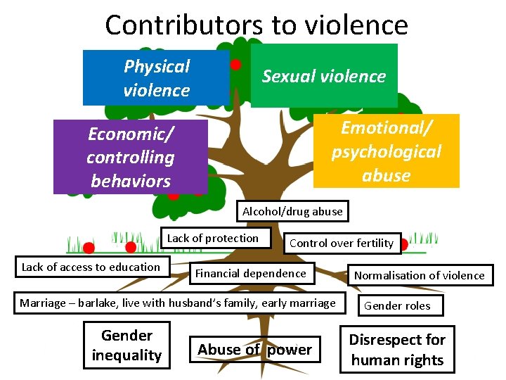 Contributors to violence Physical violence Sexual violence Emotional/ psychological abuse Economic/ controlling behaviors Alcohol/drug