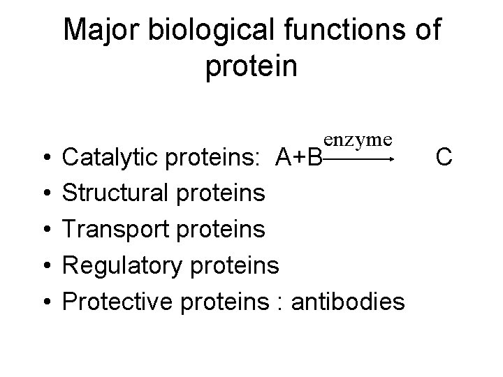 Major biological functions of protein • • • enzyme Catalytic proteins: A+B Structural proteins