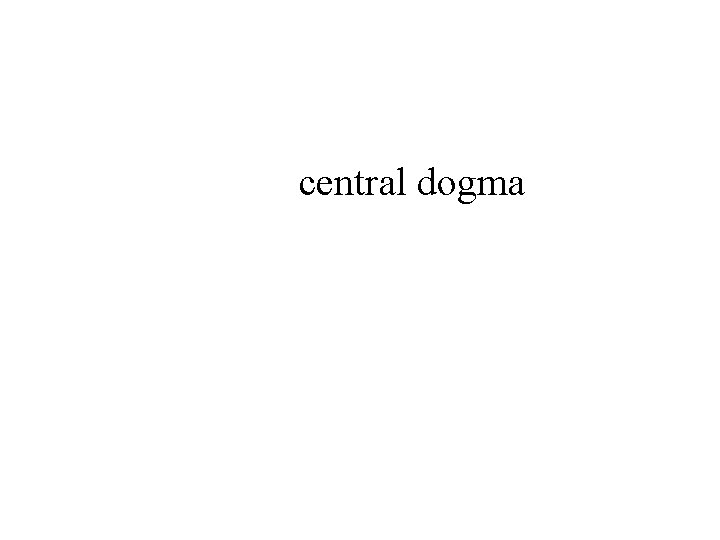 central dogma 